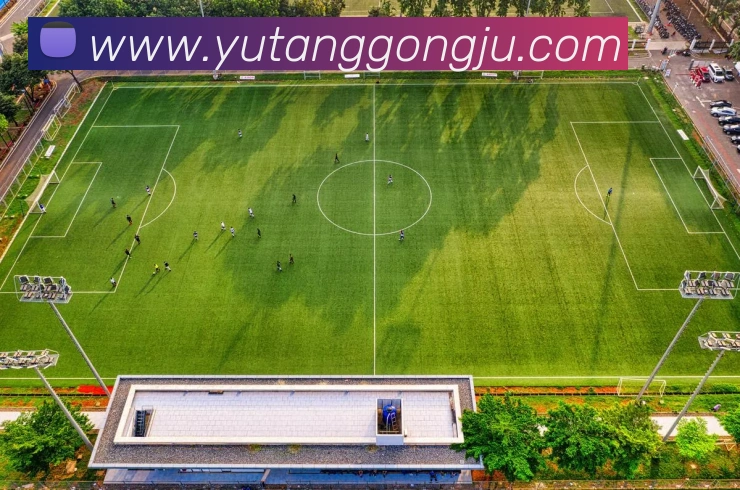 开云手机入口登录官网平台生态图